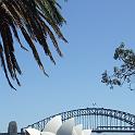 Sydney (3)